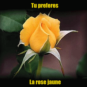 aller dis moi quest ce que tu prefere ??????????